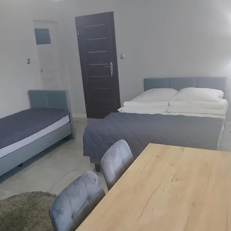 Проживание в семье Goscinne Zborowski & Wnuki Дзвижино