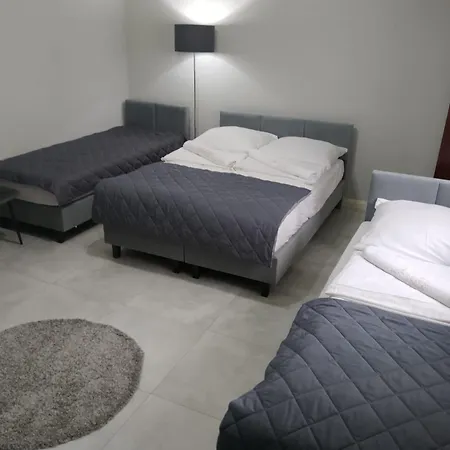 Goscinne Zborowski & Wnuki Проживание в семье *