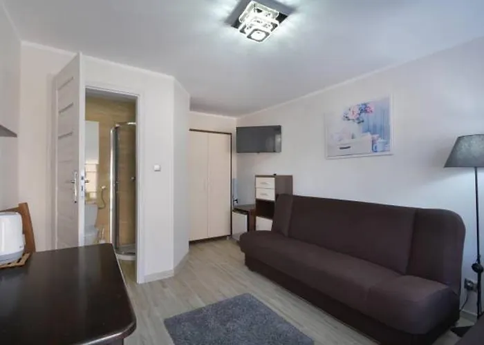 Goscinne Zborowski & Wnuki * 德兹维济诺