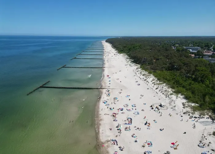 Goscinne Zborowski & Wnuki *