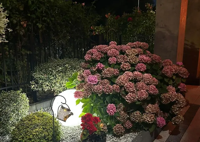 Goscinne Zborowski & Wnuki * Дзвижино